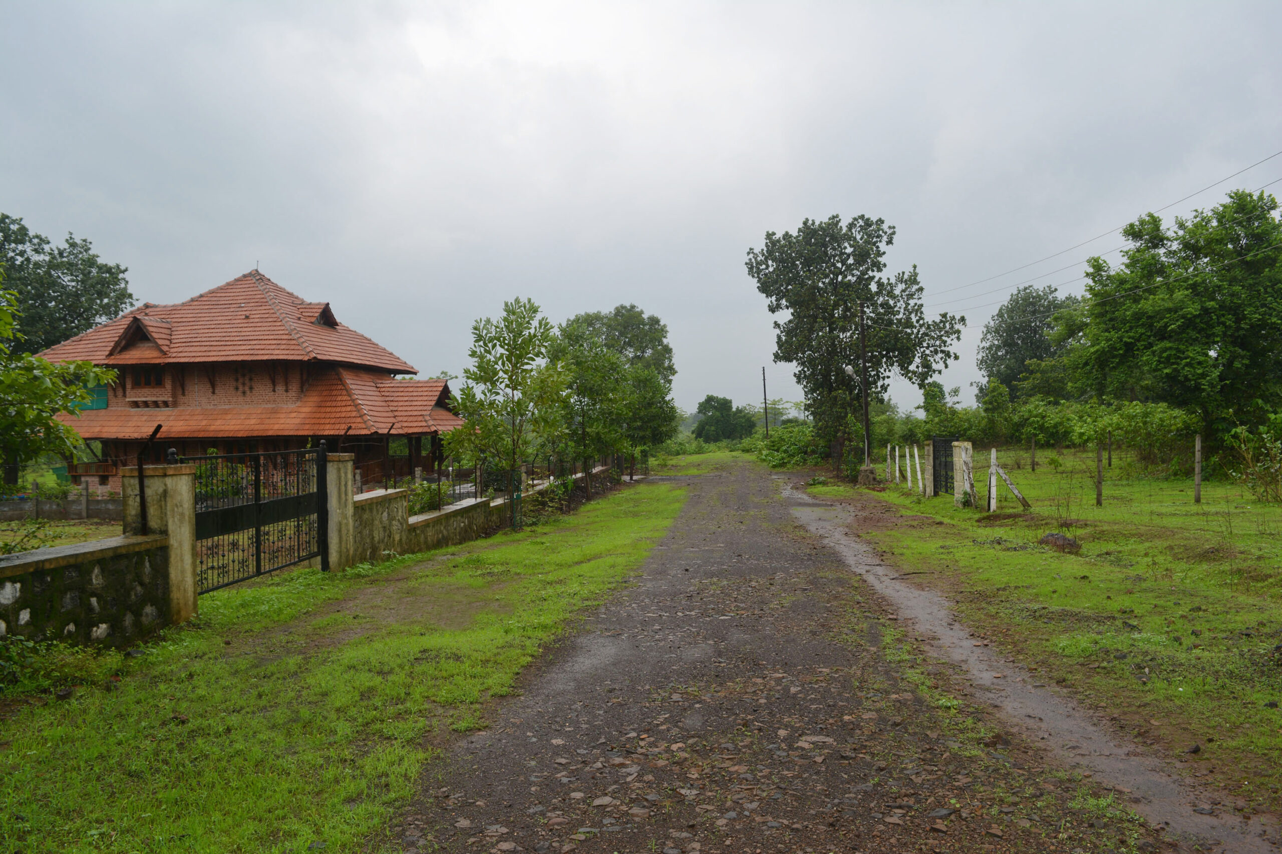 3. Bungalow